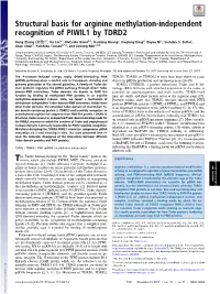 Structural Basis for Arginine Methylation-Independent Recognition of PIWIL1 by TDRD2