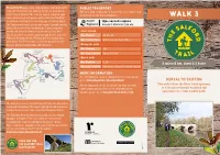 Walk 3 in Between