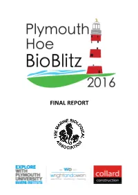 Final Report