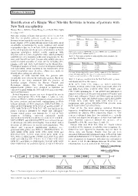 Identification of a Kunjin/West Nile-Like Flavivirus in Brains of New