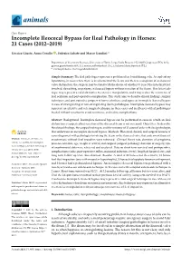 Incomplete Ileocecal Bypass for Ileal Pathology in Horses: 21 Cases (2012–2019)
