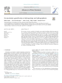 On Uncertainty Quantification in Hydrogeology and Hydrogeophysics