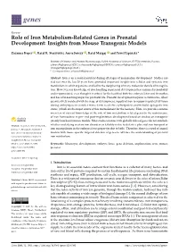 Role of Iron Metabolism-Related Genes in Prenatal Development: Insights from Mouse Transgenic Models