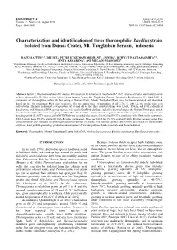 Characterization and Identification of Three Thermophilic Bacillus Strain Isolated from Domas Crater, Mt