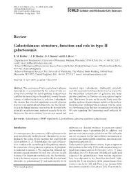 Review Galactokinase: Structure, Function and Role in Type II