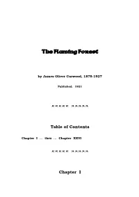 The Flaming Forest