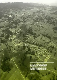 Kaiwaka Township Improvement Plan