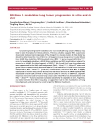 Nitrilase 1 Modulates Lung Tumor Progression in Vitro and in Vivo