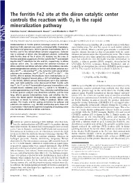The Ferritin Fe2 Site at the Diiron Catalytic Center Controls the Reaction with O2 in the Rapid Mineralization Pathway