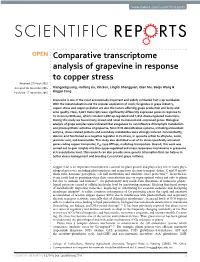 Comparative Transcriptome Analysis of Grapevine in Response to Copper