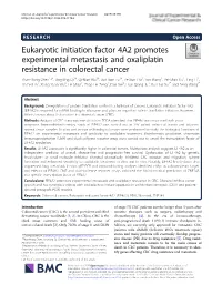 Eukaryotic Initiation Factor 4A2 Promotes Experimental Metastasis