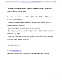 The Molecular Coupling Between Substrate Recognition and ATP Turnover in A