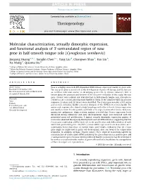 Molecular Characterization, Sexually Dimorphic Expression, And