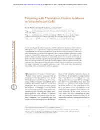 Tinkering with Translation: Protein Synthesis in Virus-Infected Cells