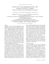 Revision of the Genus Symphysodon Heckel, 1840 (Teleostei: Perciformes: Cichlidae) Based on Molecular and Morphological Characters