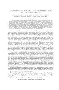 Adaptations at the Cell and Organelle Level for Utilizing Sunlight1-2