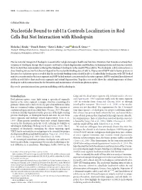 Nucleotide Bound to Rab11a Controls Localization in Rod Cells but Not Interaction with Rhodopsin