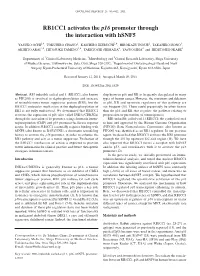 RB1CC1 Activates the P16 Promoter Through the Interaction with Hsnf5