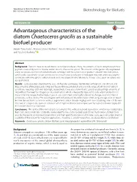 Advantageous Characteristics of the Diatom Chaetoceros Gracilis As A