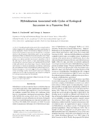 Hybridization Associated with Cycles of Ecological Succession in a Passerine Bird