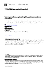 Taxonomy and Epidemiology of &lt;I&gt;Mucor Irregularis&lt;/I&gt; , Agent Of