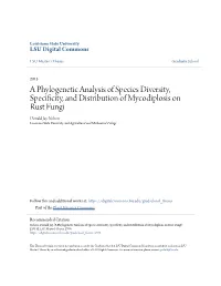 A Phylogenetic Analysis of Species Diversity, Specificity, and Distribution of Mycodiplosis on Rust Fungi
