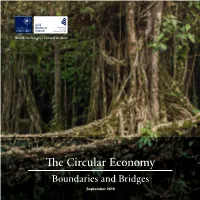 The Circular Economy: Boundaries and Bridges