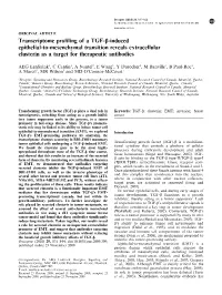 Transcriptome Profiling of a TGF-&Beta;-Induced Epithelial-To