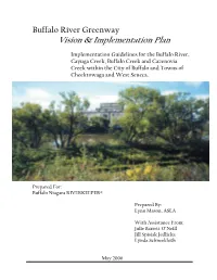 Vision & Implementation Plan