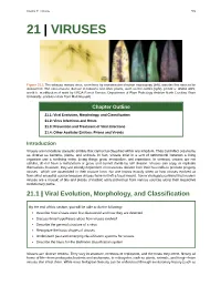 Chapter 21 – Viruses