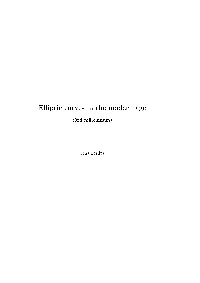 Elliptic Curves in the Modern Age