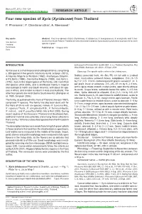Four New Species of &lt;I&gt;Xyris&lt;/I&gt; (&lt;I&gt;Xyridaceae