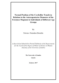 Normal Position of the Cerebellar Tonsils in Relation to the Anteroposterior Diameter of the Foramen Magnum in Individuals of Different Age Groups