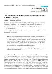 Post-Polymerization Modifications of Polymeric Monolithic Columns: a Review