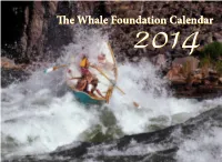 The Whale Foundation Calendar