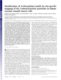 Identification of S-Nitrosylation Motifs by Site-Specific Mapping of the S-Nitrosocysteine Proteome in Human Vascular Smooth Muscle Cells