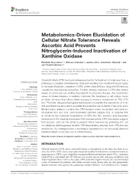 Metabolomics-Driven Elucidation of Cellular Nitrate Tolerance Reveals Ascorbic Acid Prevents Nitroglycerin-Induced Inactivation of Xanthine Oxidase