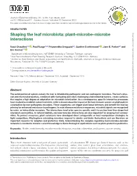 Shaping the Leaf Microbiota: Plant–Microbe–Microbe Interactions