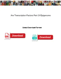 Are Transcription Factors Part of Epigenome