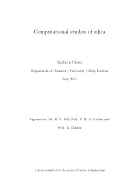 Computational Studies of Silica