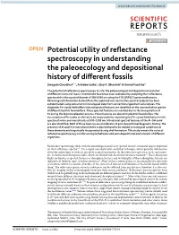 Potential Utility of Reflectance Spectroscopy in Understanding The