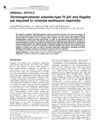 Verminephrobacter Eiseniae Type IV Pili and Flagella Are Required to Colonize Earthworm Nephridia