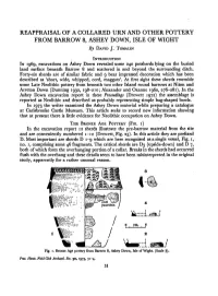 REAPPRAISAL of a COLLARED URN and OTHER POTTERY from BARROW 8, ASHEY DOWN, ISLE of WIGHT by DAVID J