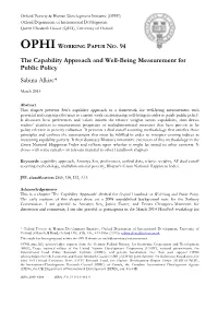 The Capability Approach and Well-Being Measurement for Public Policy