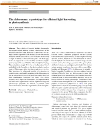 The Chlorosome: a Prototype for Efficient Light Harvesting In