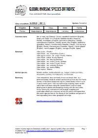 Vitex Rotundifolia Global Invasive Species Database (GISD)