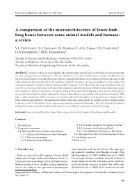 A Comparison of the Microarchitecture of Lower Limb Long Bones Between Some Animal Models and Humans: a Review