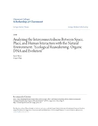 Analyzing the Interconnectedness Between Space, Place, and Human