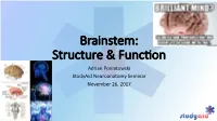 Brainstem: Structure & Func On