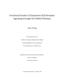 Functional Studies of Dopamine-D2S Receptor Signaling Through the RASA3 Pathway